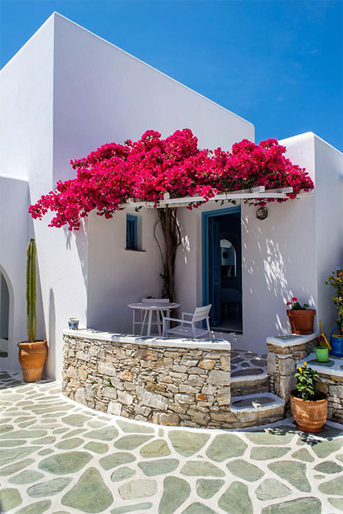 Anemomilos Hotel Folegandros - Studios